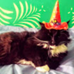 Meet your Posher, Ashley rose